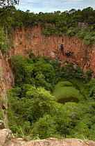 Sink hole now used by Macaws for nesting, Serra da Bodoquena. Limestone elevated area which divides the Pantanal and the Cerrado. Mato Grosso do Sur Province, Brazil