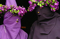 'Cucurucho' using bouganvillia to decorate their costumes during the catholic Good Friday celebrations commemorating the Passion and Death of Jesus Christ, Tingo, Pichincha Province, Andes, Ecuador