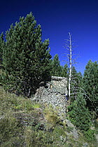 Photographic hide used for photographing birds, Pirineos, Torla, Huesca, Spain