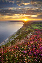 Sunset over the Jurassic Coast from the Golden Cap, Dorset, England, UK. (NR)