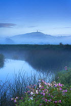 Glastonbury Tor appearing above the mist lying on the Somerset Levels at dawn, Somerset, England, UK. (NR)