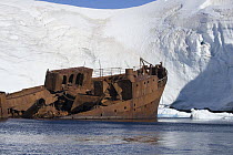 Wreck of a whalring ship in Paradise Cove, Antarctica.