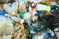 Discarded non-degradable rubbish including plastic bottles and nylon fishing nets, collected in the dunes, Belgium