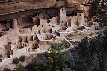 Cliff Palace dwelling, ruined homes of the ancient pueblo people, Mesa Verde National Park, Colorado, USA, September 2007