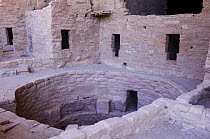 Spruce Tree House, ruined homes of the ancient pueblo people, Mesa Verde National Park, Colorado, USA, September 2007