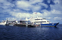 Fantasea Pontoon anchored 365 days per year at the Hardy Reef for guests to see the Great Barrier Reef underwater world, Reefworld-Reefsleep, Queensland, Australia