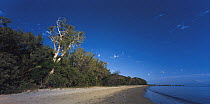 Beach at Cape Tribulation, where rainforest meets coral reef, Queensland, Australia
