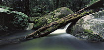 Small waterfall in Mossman Gorge, Daintree NP, Queensland, Australia