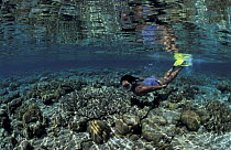 Woman Snorkler swimming over coral reef, Underwater Indo-Pacific