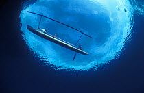 Traditional outrigger canoe of a Papuan fisherman viewed from underwater, Papua New Guinea