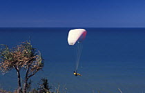 Paraglider, Rex Lookout, Port Douglas, Queensland, Australia
