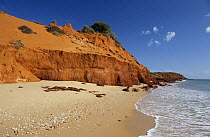 Cape Peron coast, Shark Bay World Heritage Area, Francois Peron NP, Shark Bay, Western Australia