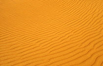 Sand ripples in the rust red sand dunes of Cape Peron, Francois Peron NP, Shark Bay, Western Australia