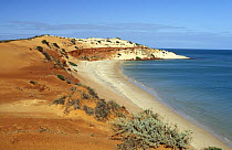 Rust red sand dunes of the Cape Peron coast, Shark Bay World Heritage Area, Francois Peron NP, Shark Bay, Western Australia