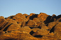 Bungle Bungle Range, Purnululu National Park, Western Australia. The distinctive beehive-shaped towers are made up of sandstones and conglomerates deposited into the Ord Basin 375 -350 million years a...