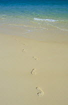 Human Footsteps coming out of the sea on Whitehaven Beach, Whitsunday Islands, Queensland, Australia