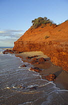 Rust red sand dunes on the Cape Peron coast, Shark Bay World Heritage Area, Francois Peron NP, Shark Bay, Western Australia