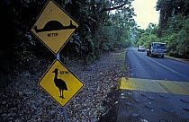 Warning sign to drive slow over humps and to be aware of endangered cassowaries crossing the road. A prankster drew a dead cassowary over the hump sign, saying before and after. Daintree National Park...