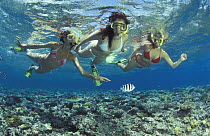 Women and child snorkeling watching fish, Great Barrier Reef, Queensland, Australia