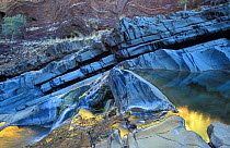 Water reflections in Hamersley Gorge water pool, Karijini NP, Western Australia