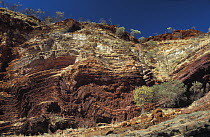 Hamersley Gorge - banded iron rock walls in the Pilbara Region, Karijini NP, Western Australia. Sheer walls of rock are layered in colours from red to green and blue to pink depending on the light