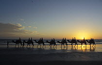 Silhouette of tourists on a camel ride along Cable Beach at sunset, Broome, Western Australia