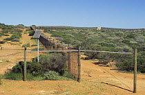 Project Eden is a conservation project that aims to re-establish endangered species on the Peron Peninsula by keeping out feral predators. A 3.4km fence was built across a narrow section of the penins...