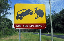 Cassowary protection warning road sign, Western Australia