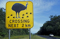 Cassowary protection warning road signs, Western Australia
