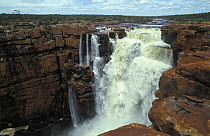 King George Falls after a very good wet season, King George River, Kimberley, Western Australia
