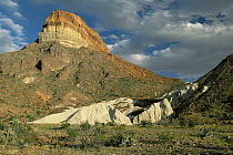 Cerro Castellan peak, Big Bend NP, Texas, USA, 2001