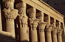 Pillars at the Philae Temple, Aswan, Egypt, 2001