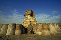 The Sphinx, Giza, Egypt, 1988