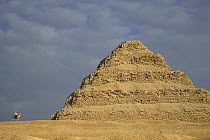 Camel beside Step pyramid of Zoser, Saqqarah, Egypt, 1989