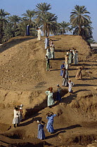 Egyptians working on archeological excavation, near Karnak Temple, Luxor, Egypt