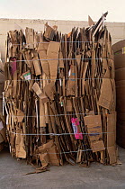 Bales of cardboard ready for recycling, USA, 1997