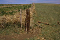 Fence separating grazed land on right from natural growth on left, USA, 1990