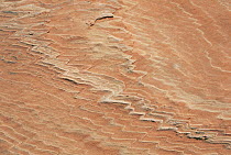 Sandstone patterns in rock formations, Colorado Plateau, Utah, USA