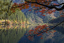 Lake and trees, Juizhaigou National Reserve, UNESCO world heritage site, Sichuan, China, October 2006. 'Wild China' series