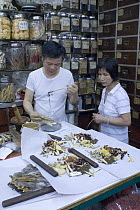 Pharmacist weighing ingredients in Chinese medicine store, Hong Kong, September 07.  'Wild China' series