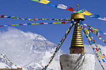 Mount Everest viewed between prayer flags on Rongbuk monastery, Tibet, June 07, 'Wild China' series