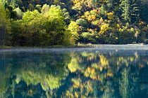 Trees and reflection in water, Juizhaigou national reserve, UNESCO world heritage site, Sichuan province, China, October 06, 'Wild China' series