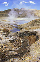Thermal Springs in Western Tibet
