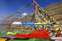 Prayer flags at the Saga Dawa festival, with Mount Kailash in the background, Tibet