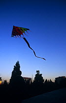 Kite Flying at the Temple of Heaven, Beijing, China