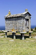 Horreo (traditional stone granary built on stilts to avoid access of rodents) in Galicia, Spain