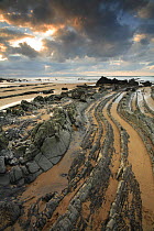 Folded rocks of a wave cut platform on Barrika Beach, Bilbao, Basque Country, Spain
