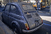 Fiat 500 car covered in droppings after parking beneath huge Common starling roost (Sturnus vulgaris) central Rome, Italy, 1997