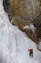 Man climbing the ice on the frozen Lillaz falls with ropes and crampons, Gran Paradiso NP, Val d'Aosta, Italy