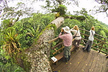 Tourists birdwatching from canopy tree tower. Rainforest of Napo River, Amazonia, Ecuador, 2007